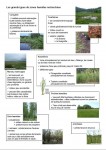 Les différents types de zones humides